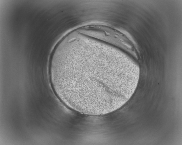 X0000068720910200605192250