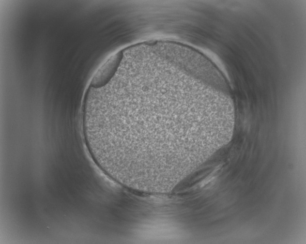 X0000068720911200605192250