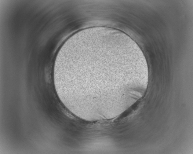 X0000068720912200605192250