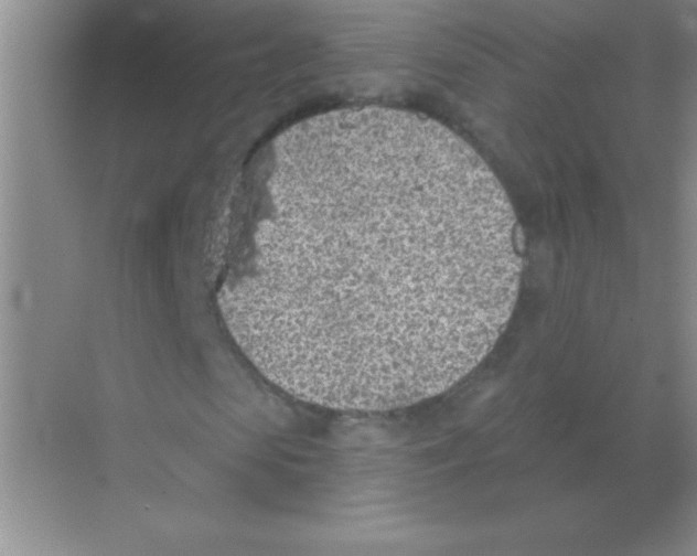 X0000068720913200605192249