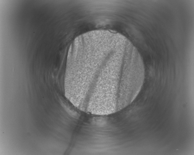 X0000068720914200605192249