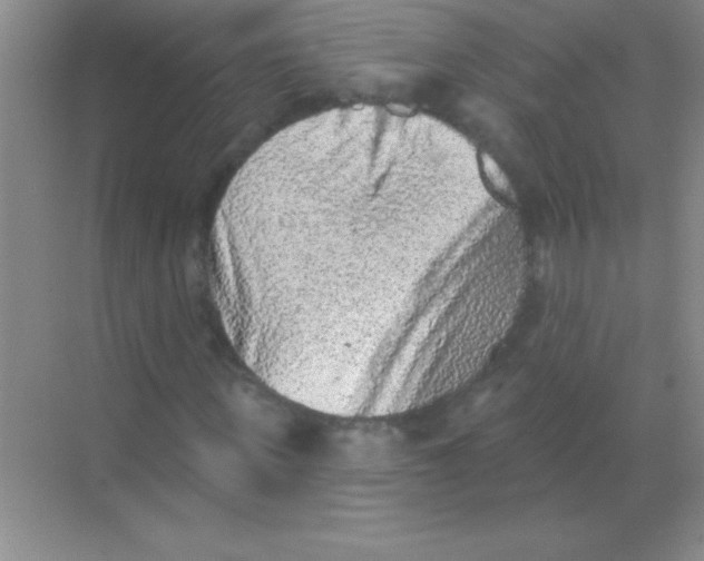 X0000068720915200605192249