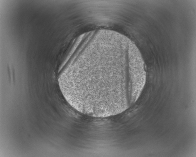 X0000068720916200605192249