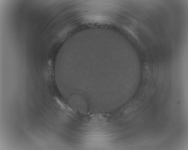 X0000068720918200605192249