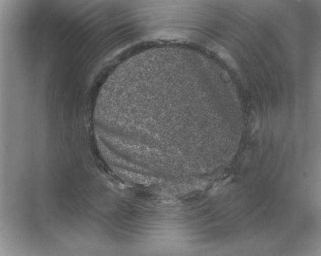 X0000068720920200605192249