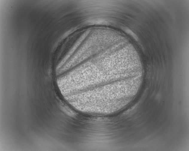 X0000068720922200605192249