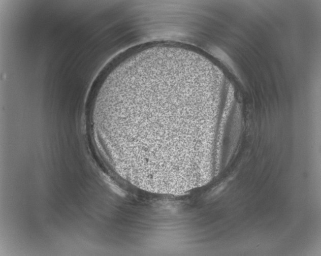 X0000068720924200605192249