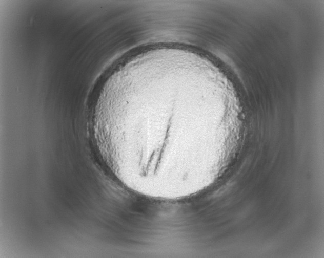 X0000068720925200605192249