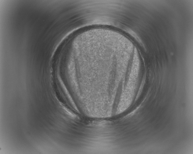 X0000068720926200605192249