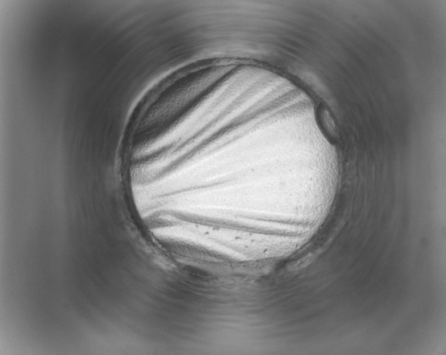 X0000068720928200605192249