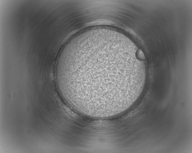 X0000068720929200605192249