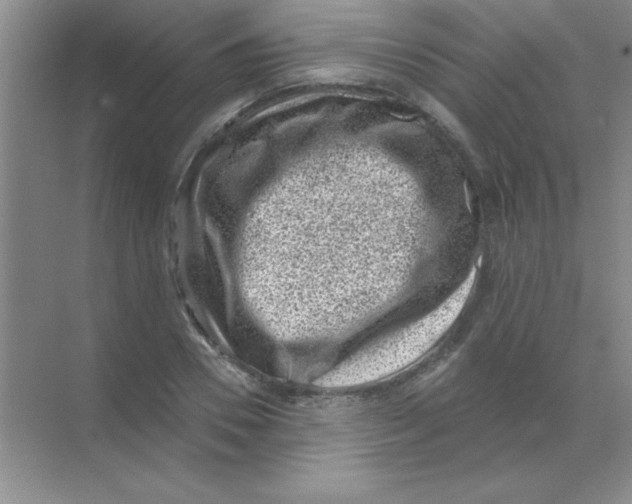 X0000068720930200605192249