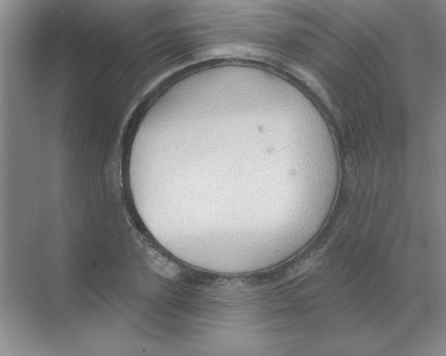 X0000068720931200605192249