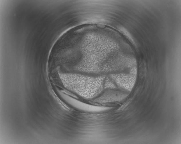 X0000068720932200605192249