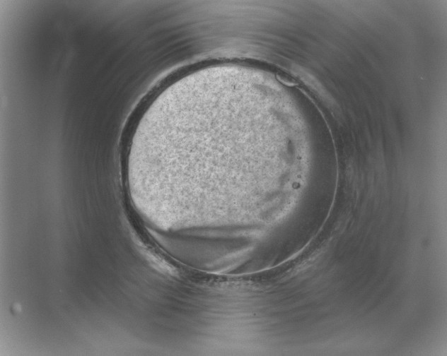 X0000068720934200605192249