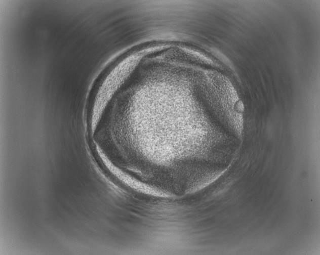 X0000068720935200605192249