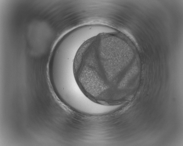 X0000068720936200605192249