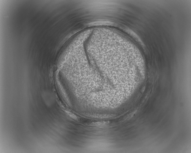 X0000068720937200605192249