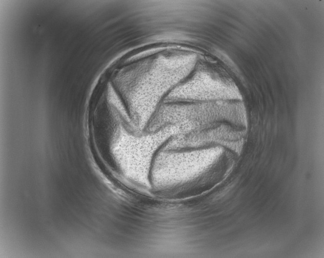 X0000068720939200605192249