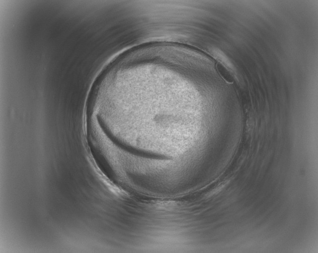 X0000068720940200605192249