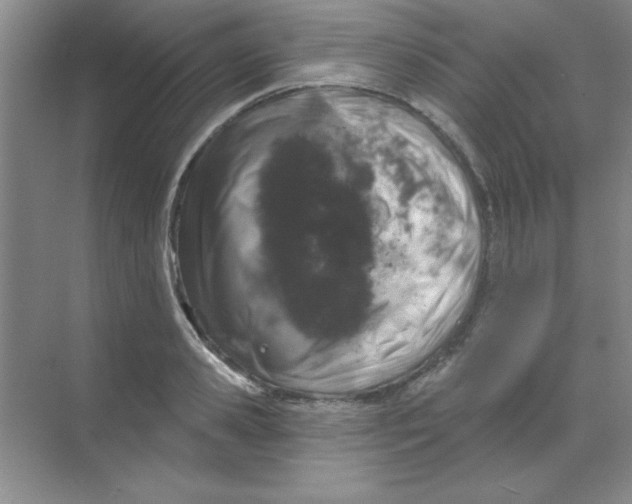 X0000068720941200605192249