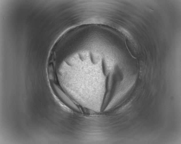 X0000068720942200605192250