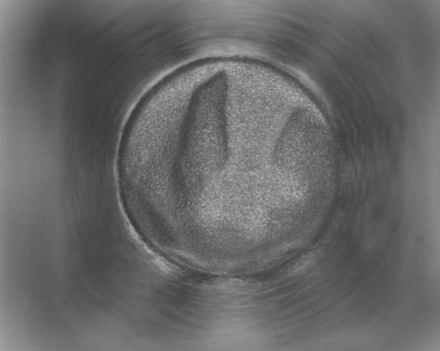 X0000068720943200605192250