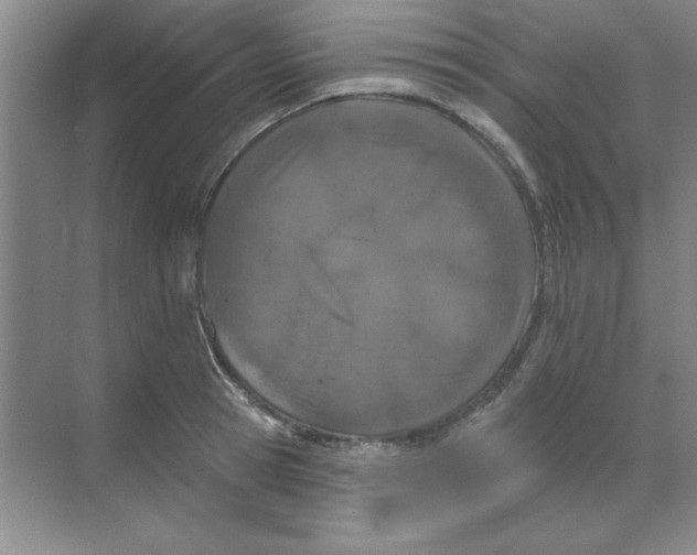 X0000068720945200605192250