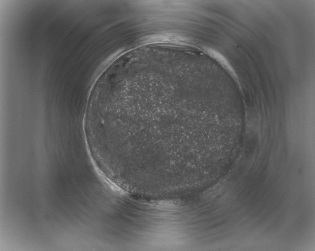 X0000068720946200605192250