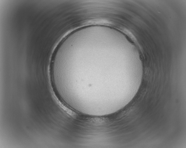 X0000068720947200605192250