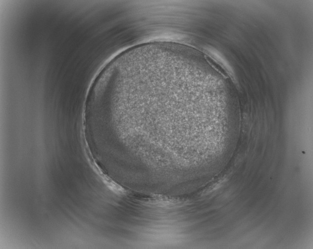 X0000068720948200605192250