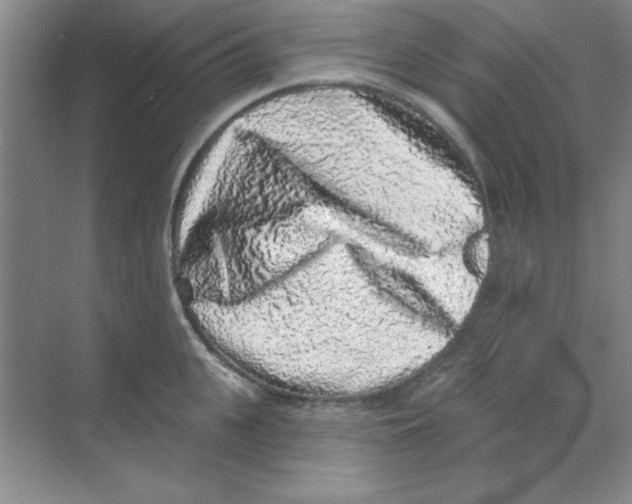 X0000068720951200605192250