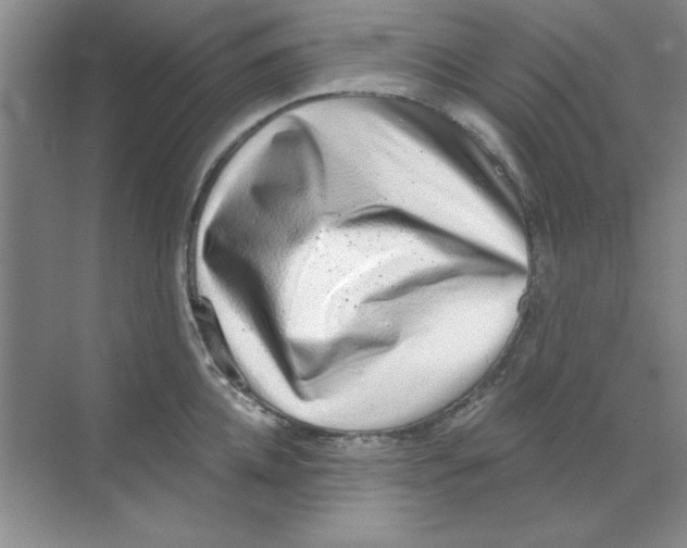 X0000068720952200605192250