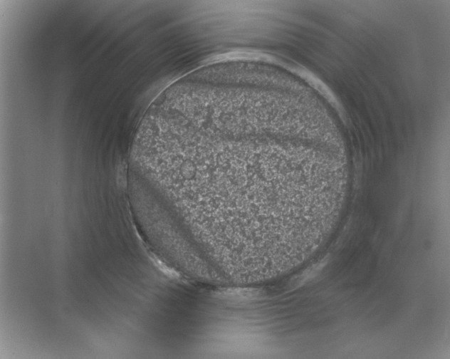 X0000068720953200605192250