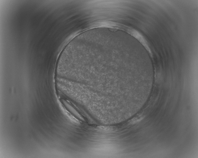 X0000068720954200605192250