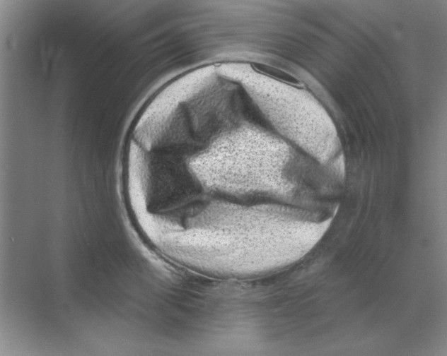 X0000068720955200605192250