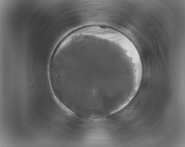 X0000068720958200605192250