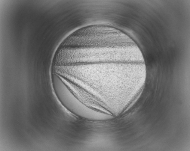 X0000068720959200605192250