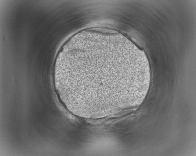 X0000068720960200605192250