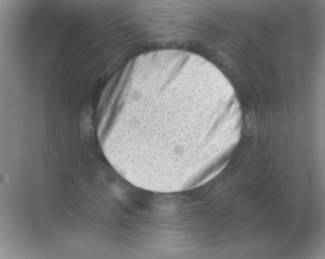 X0000068720963200605192249