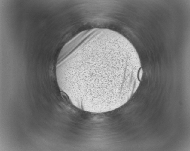 X0000068720964200605192249