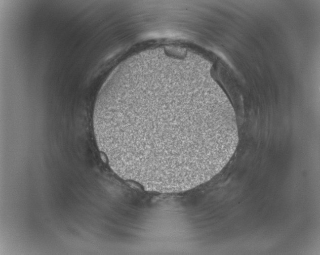 X0000068720967200605192249