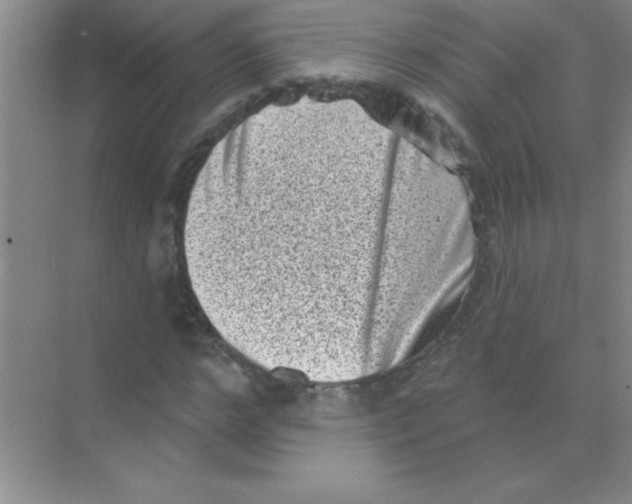 X0000068720968200605192249