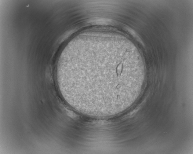 X0000068720970200605192249