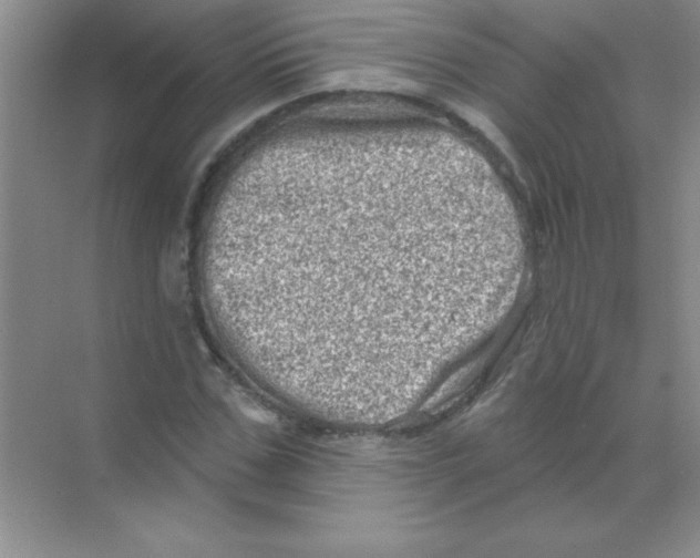 X0000068720971200605192249