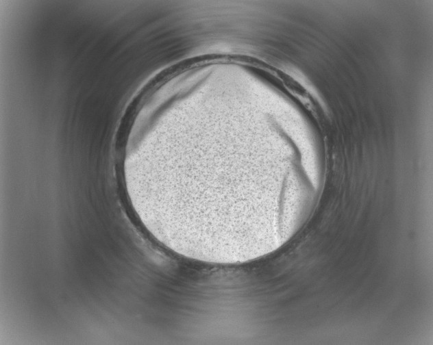 X0000068720972200605192249