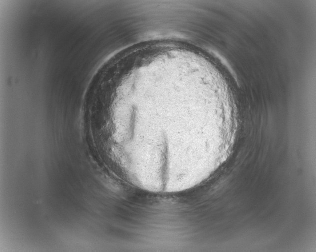 X0000068720975200605192249