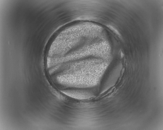 X0000068720976200605192249