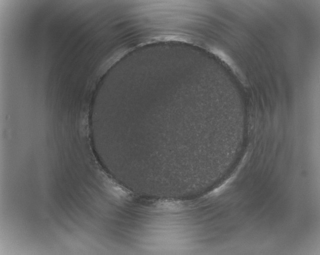 X0000068720977200605192249