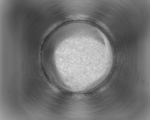 X0000068720978200605192249